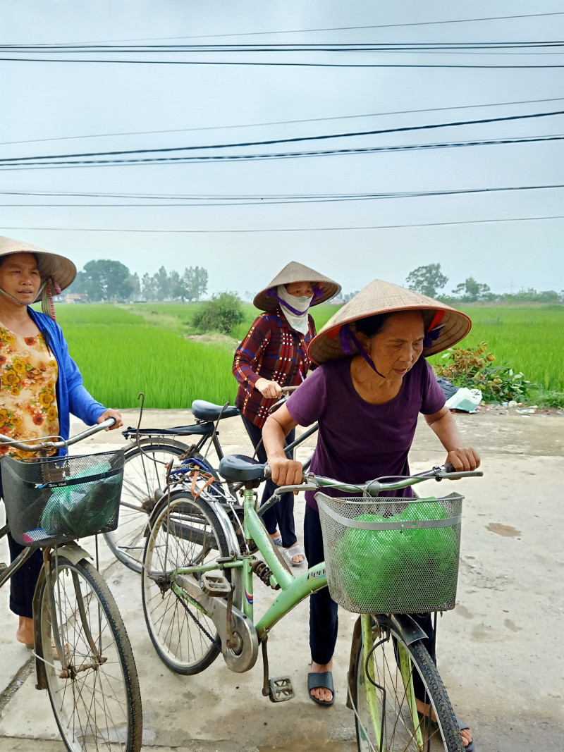 Kỳ 3 - Chiêu trò bán hồng sâm Hàn Quốc với giá “cắt cổ”: Vị đắng hồng sâm!