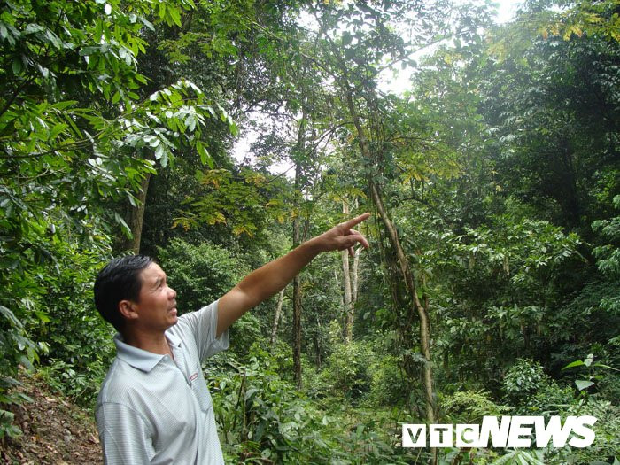 Chuyen la quanh khu rung thieng co ten ‘Rung Dai Tuong’ tren duong hanh quan len Dien Bien Phu hinh anh 3