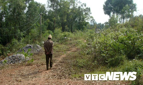 Phap su nguoi Tau dao ham trom kho bau va chuyen cac nha khao co dao ca xe tai bau vat hinh anh 4