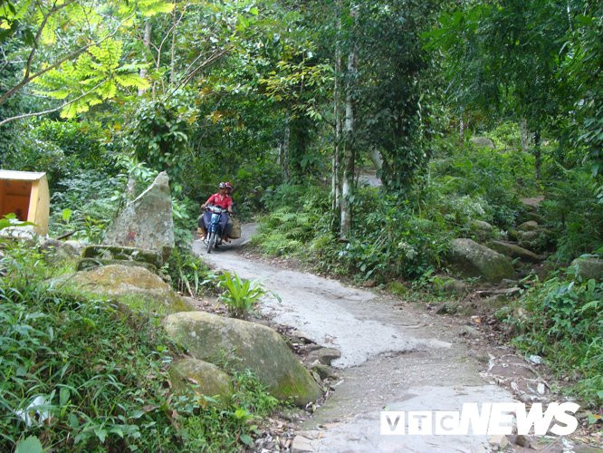 Tho san doi mat ran khong lo va nhung chuyen kinh di ve loai bo sat bi an o nui Cam hinh anh 5