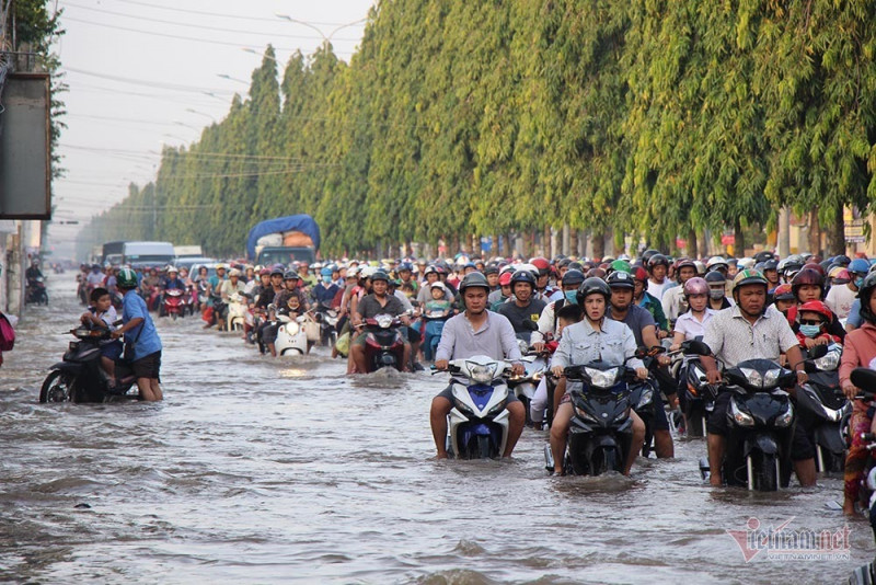 Đưa con đi học từ 5 rưỡi sáng, người Cần Thơ ngao ngán bơi trong biển nước