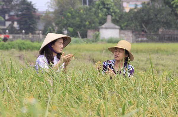 Về mô hình mở đường cho kinh tế hợp tác phù hợp với  trình độ của kinh tế hộ nông dân - Ảnh 1