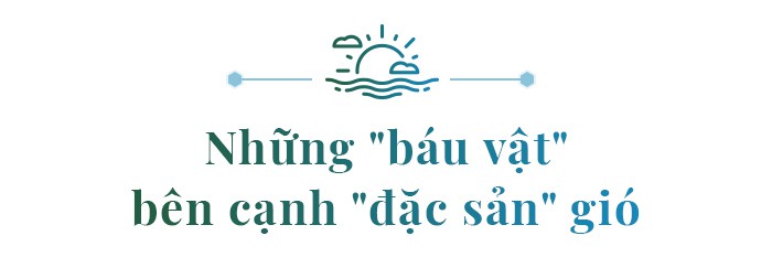 Viễn cảnh tươi sáng của Ninh Chữ - Ảnh 6