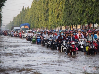 Đưa con đi học từ 5 rưỡi sáng, người Cần Thơ ngao ngán bơi trong biển nước