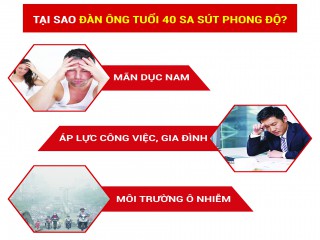 Phong độ đỉnh cao - Đón chào Canh Tý