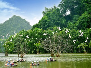 Ngành Du lịch lên kế hoạch đón khách quốc tế: Lấy lại sức bật