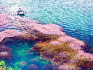 Những điểm check – in cực đẹp ở Bảo Lộc Lâm Đồng