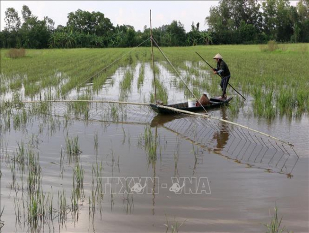 Mê mẩn những sản vật mùa lũ 'có một không hai'