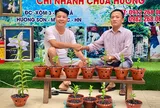 Nguyễn Văn Dương từ người thợ mộc nghèo đến cú đời đời từ hoa lan
