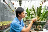 Nghệ nhân Hoa lan Nguyễn Xuân Trường: Hoa lan đã thay đổi cuộc đời tôi