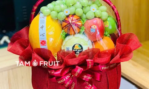 Quà Biếu Trái Cây Tam Fruit – Sạch, Sang, Chuẩn Gu Người Tặng