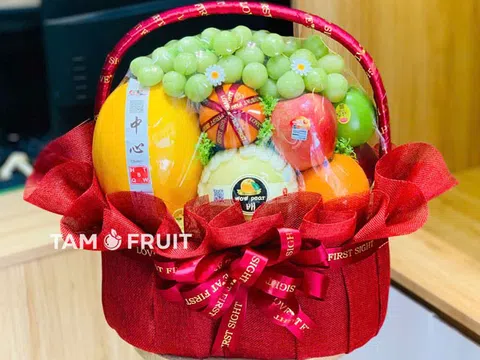 Quà Biếu Trái Cây Tam Fruit – Sạch, Sang, Chuẩn Gu Người Tặng