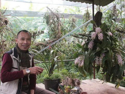 Đến chiêm ngưỡng vườn lan đẹp hiếm có của "Vua Lan" Trần Tuấn Anh