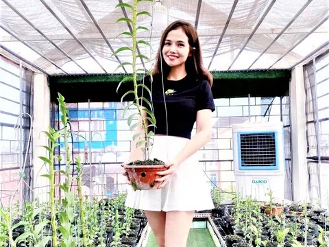Tạ Thị Quyên: Cô giáo mầm non thành công với nghề kinh doanh hoa lan