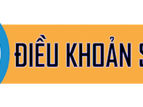 Điều khoản sử dụng
