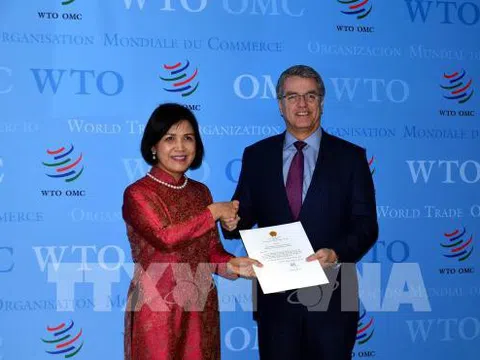 Việt Nam cam kết phối hợp tích cực, chặt chẽ với WTO