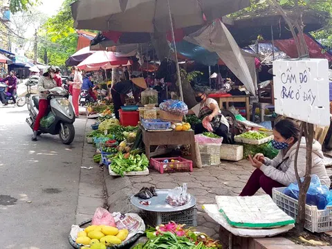 Tiếp tục làm nghiêm hơn để xử lý triệt để vi phạm
