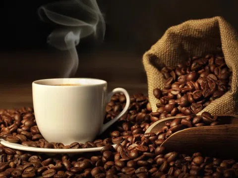 Giá cà phê hôm nay 2/11: Giá Robusta tăng mạnh, nhiều bất lợi do ảnh hưởng của mưa bão