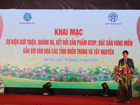 Khai mạc sự kiện kết nối sản phẩm OCOP, đặc sản vùng miền gắn với văn hóa các tỉnh miền Trung và Tây Nguyên