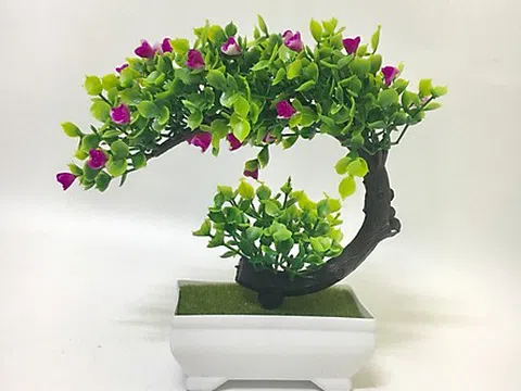 Hướng dẫn về bón phân cho Bonsai