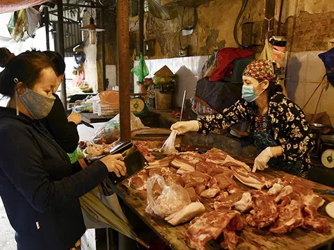 Tìm giải pháp bình ổn giá thịt lợn