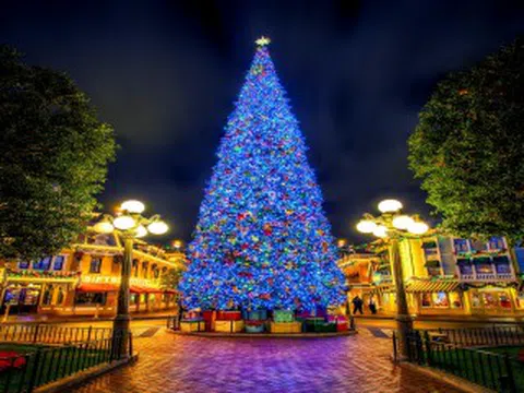 Bạn có biết sự ra đời của cây thông Noel?